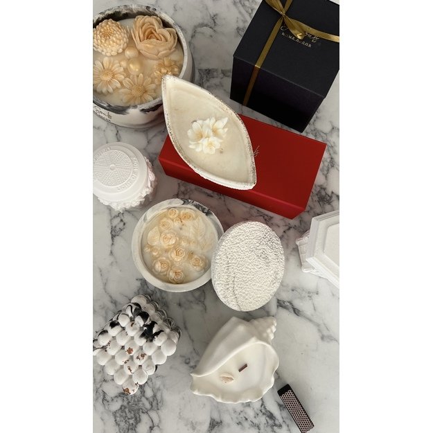 Žvakė Kriauklytė 1